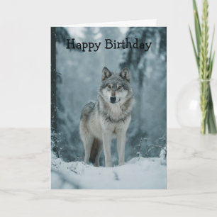 Wolf in Winter Card