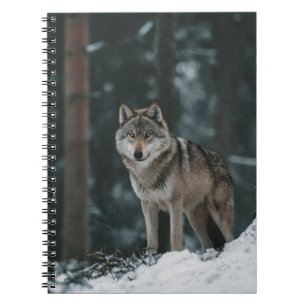Wolf in Winter Notebook