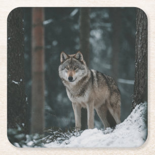 Wolf in Winter Square Paper Coaster