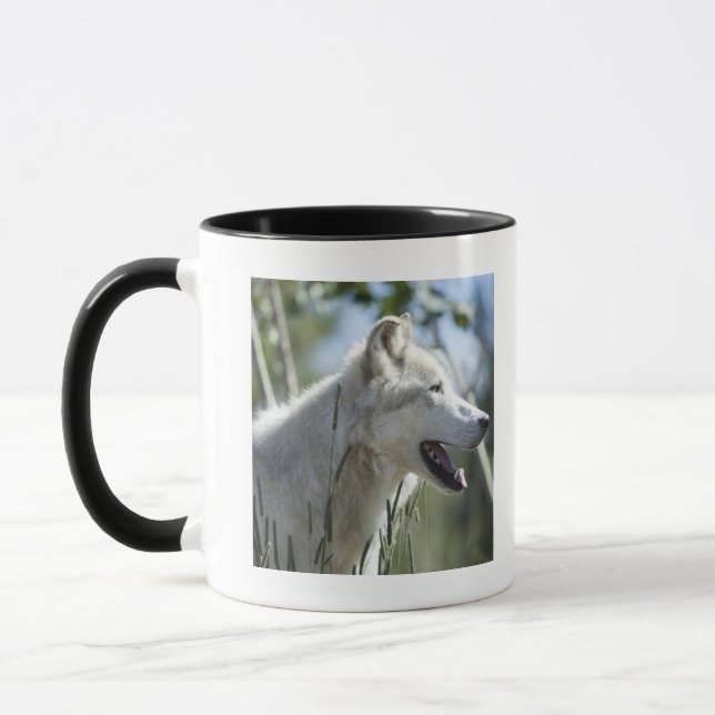 Wolf in Yellowstone 2 Mug (Left)