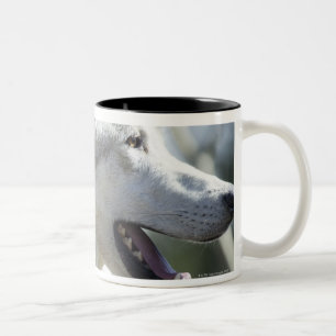 Wolf in Yellowstone. Two-Tone Coffee Mug