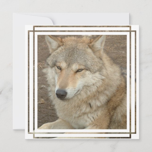 Wolf Invitation (Front)