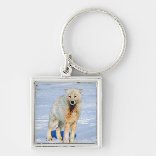 Wolf Keychain (Front)