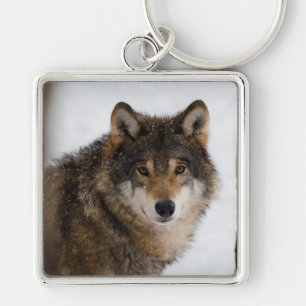 Wolf Keychain