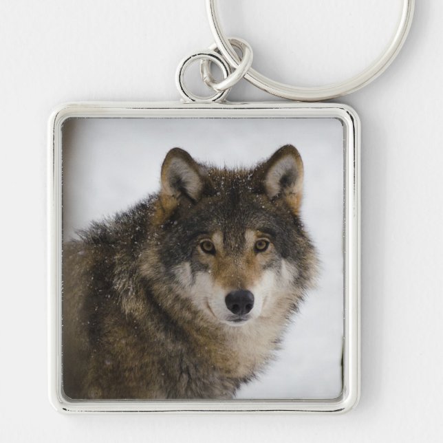 Wolf Keychain (Front)