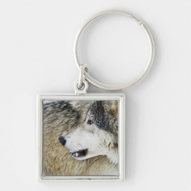 Wolf Keychain (Front)