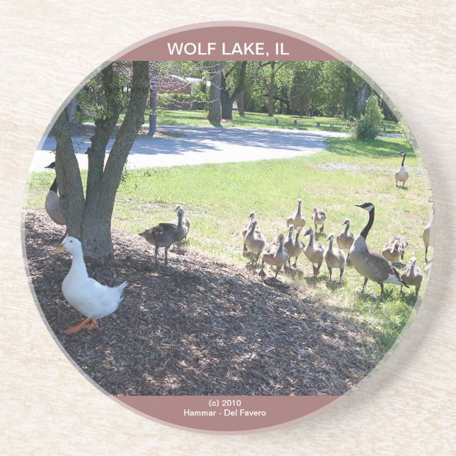 WOLF LAKE COASTER (Front)