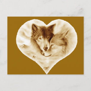 Wolf Love Postcard