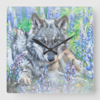 WOLF LUPINE FLOWERS SPRINGTIME