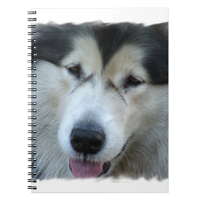 Wolf Malamute Picture Notebook (Front)