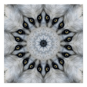 Wolf Mandala Fierce Eyes and Furry Symmetry Poster