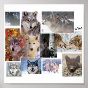 wolf montage poster