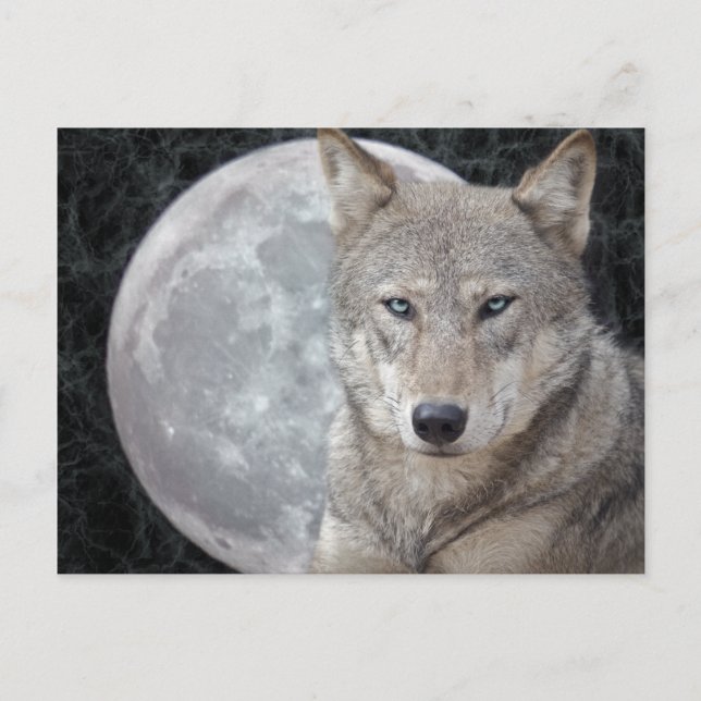 Wolf Moon Postcard (Front)