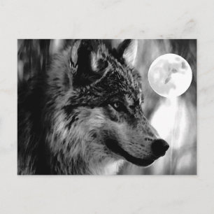 Wolf & Moon Postcard