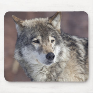 Wolf Mouse Pad