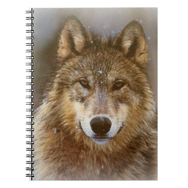 Wolf Notebook (Front)