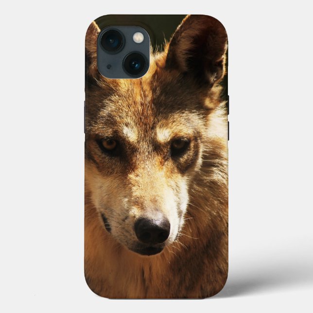 Wolf or Pet  iPhone 13 Case (Back)