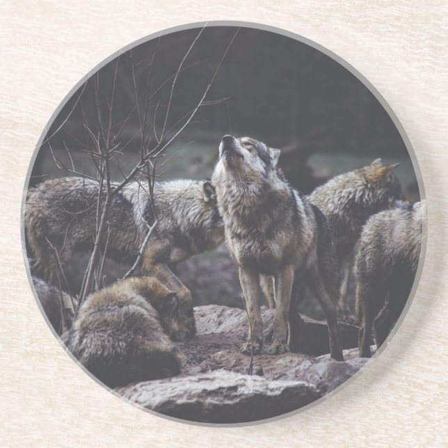 Wolf Pack Coaster (Front)