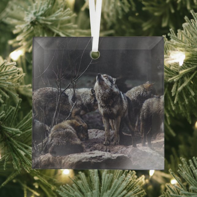 Wolf Pack Glass Ornament (Insitu)