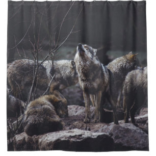 WOLF PACK ON ROCK FORMATION