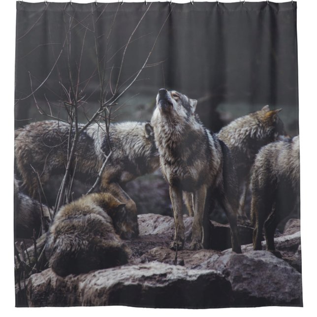 WOLF PACK ON ROCK FORMATION (Front)
