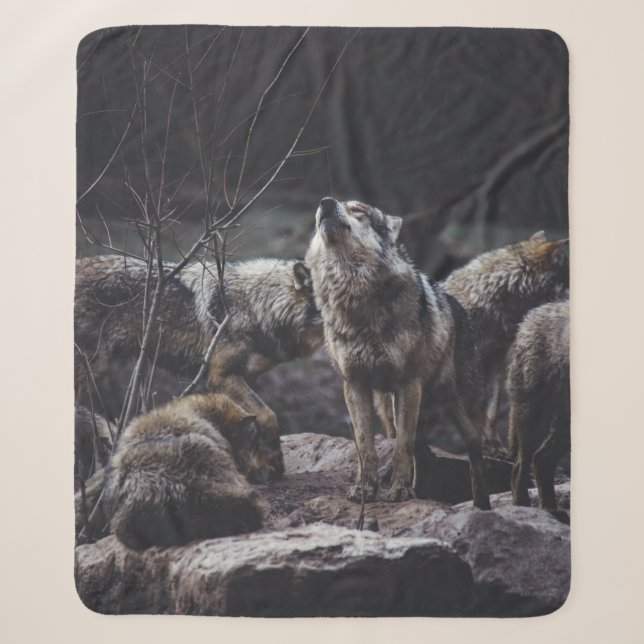 WOLF PACK ON ROCK FORMATION SHERPA BLANKET (Front)