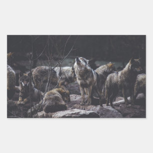 Wolf Pack Sticker