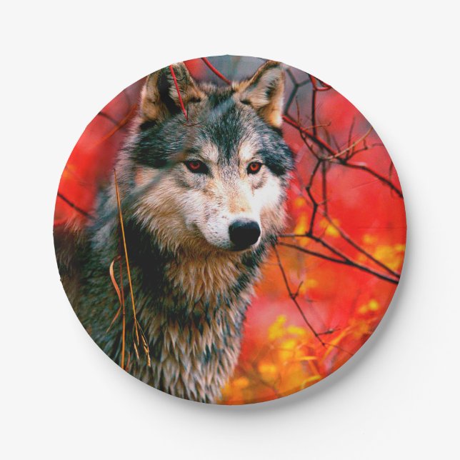 Wolf peeking through leaves in a forest paper plate (Front)