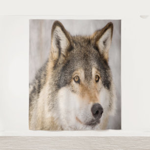 Wolf photo jolie faune sauvage tapisserie