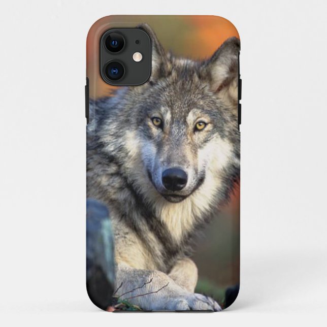 Wolf Photograph Case-Mate iPhone Case (Back)