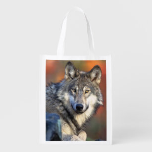 Wolf Photograph Reusable Grocery Bag