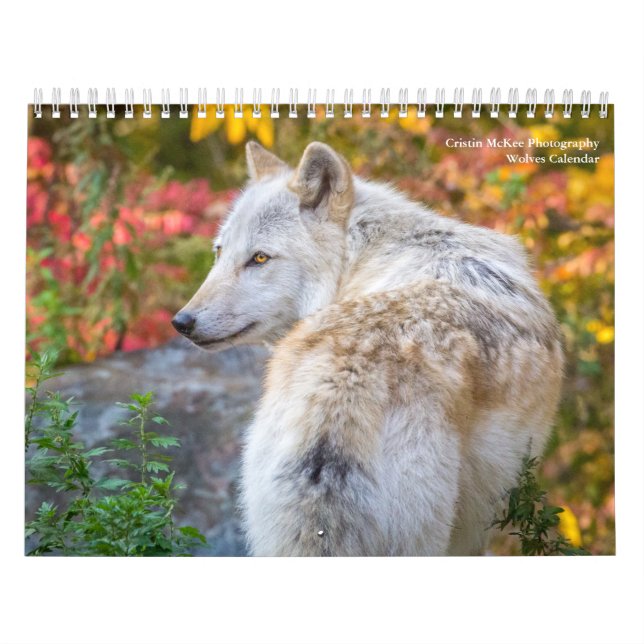 Wolf Photography Calendar (Cover)