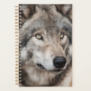 Wolf Planner