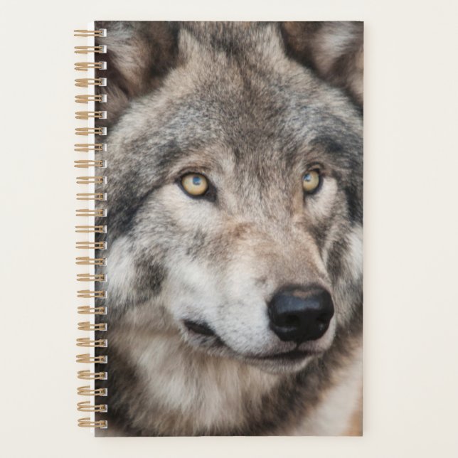 Wolf Planner (Front)