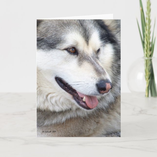 Wolf Portrait Card (Front)
