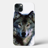 Wolf Portrait
