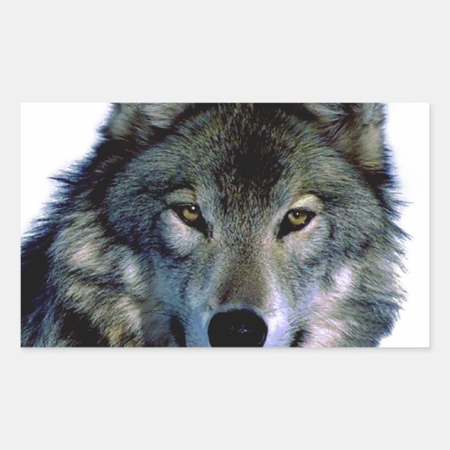 Wolf Portrait Sticker (Front)