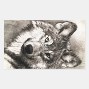 Wolf portrait sticker