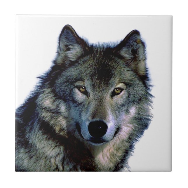 Wolf Portrait Tile (Front)