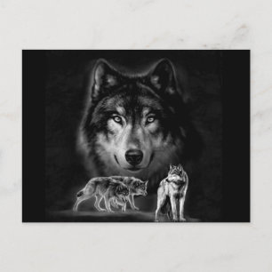 wolf postcard