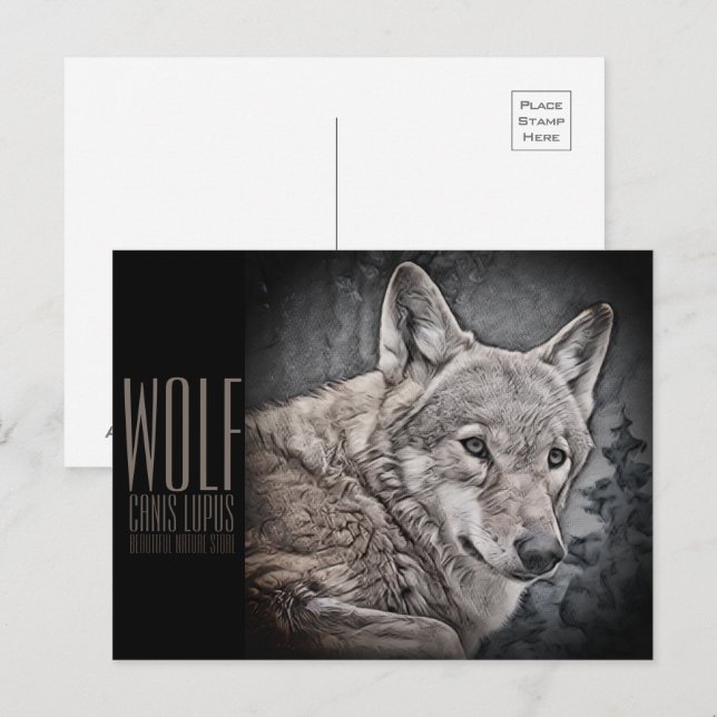 Wolf Postcard (Front/Back)