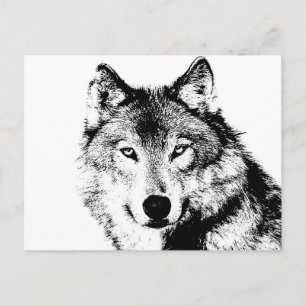 Wolf Postcard