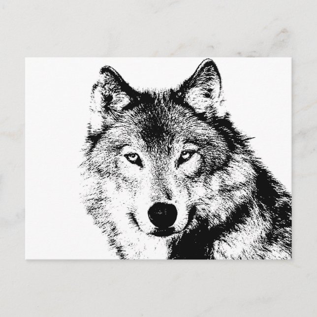 Wolf Postcard (Front)