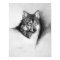 wolf print
