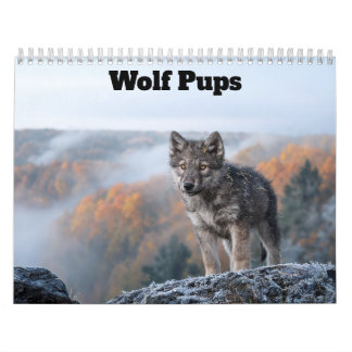 Wolf Pups 2027 Calendar