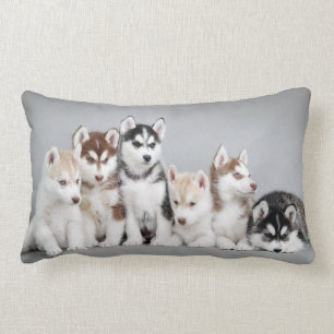 wolf pups lumbar pillow