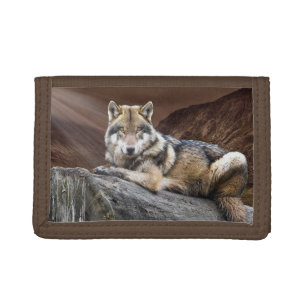 Wolf Resting On Rock Trifold Wallet