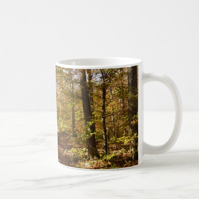 Wolf Rocks Trail in Autumn Pennsylvania Landscape Coffee Mug (Right)