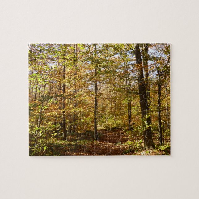 Wolf Rocks Trail in Autumn Pennsylvania Landscape Jigsaw Puzzle (Horizontal)