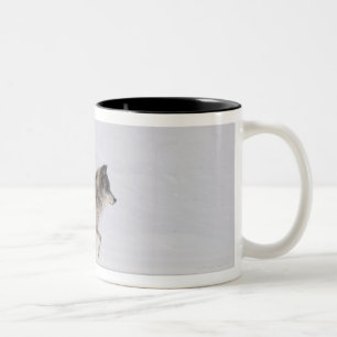 Wolf running in the snow 2 Two-Tone coffee mug